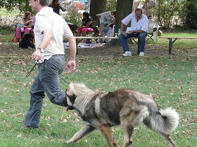 img 173.jpg